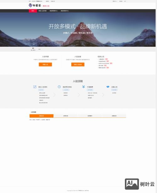 微网站搭建策划表