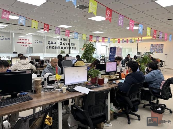 网络推广运营团队搭建