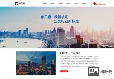 石家庄知名网站搭建