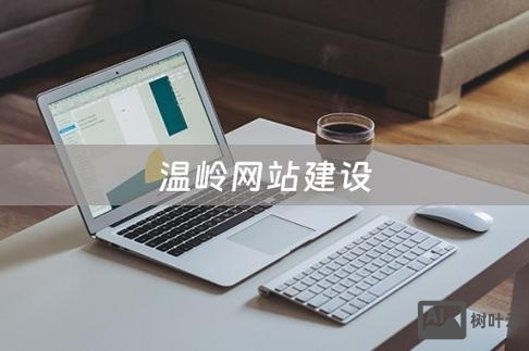 温岭企业网站搭建