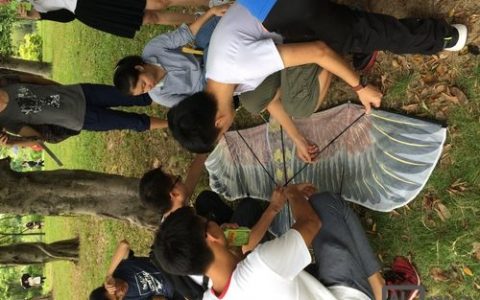 东莞h5搭建，东莞H5搭建如何高效落地？