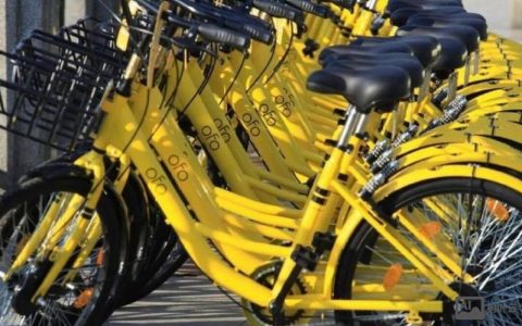 意大利ofo招聘，意大利ofo招聘，为何此时重启？