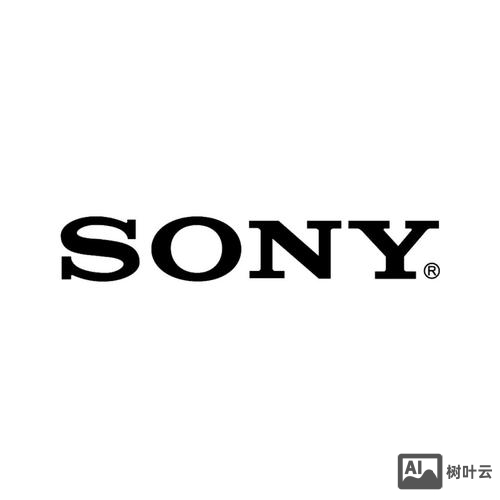 索尼招聘海报