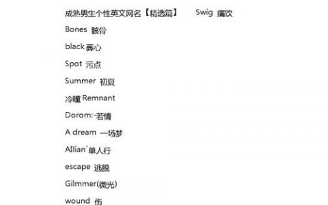 英文网站搭建申请，英文网站搭建申请怎么操作？