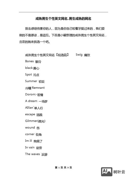 英文网站搭建申请