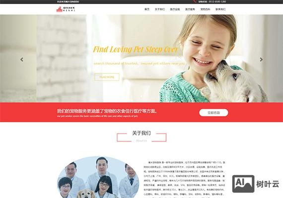 石家庄网站搭建公司