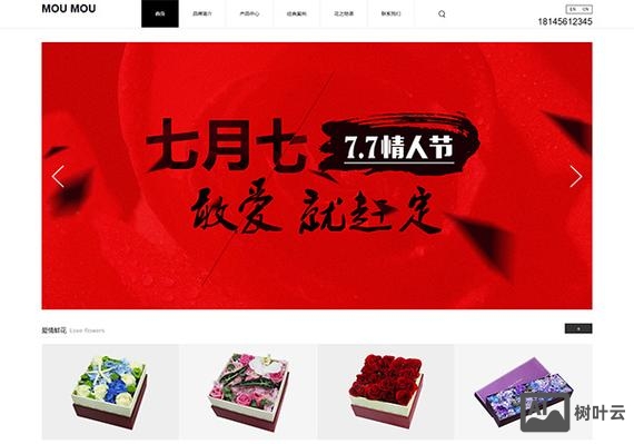 石家庄网站搭建公司