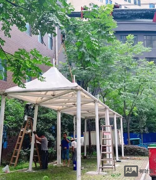 社区分站免费搭建