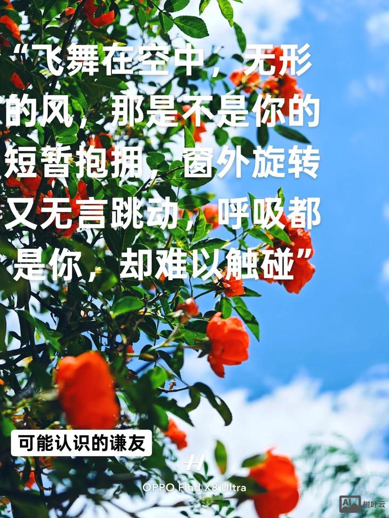 如何表达自己像风一样