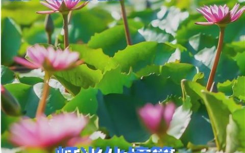 ai如何加灯光效果图，AI如何为效果图添加灯光？