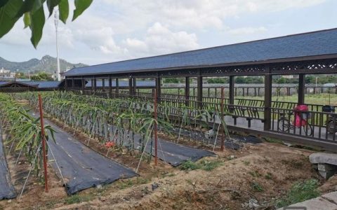 漳浦搭建网站，漳浦搭建网站哪家好？价格与流程是怎样的？