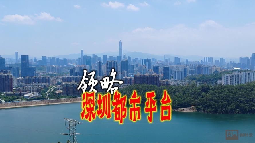 深圳搭建电商平台