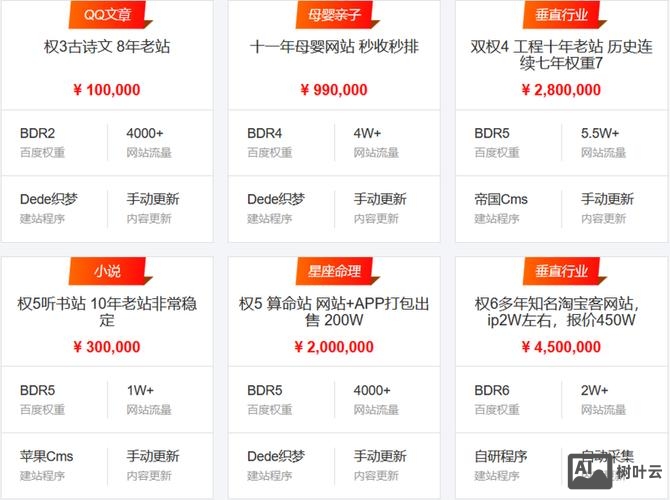 搭建网站挣钱,搭建网站如何真正变现盈利? - 树叶云