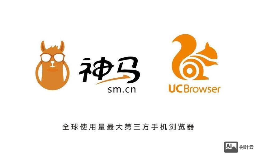 企业网搭建神马