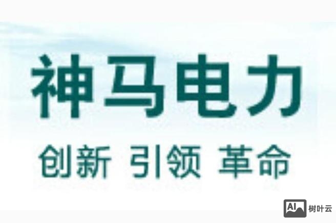 企业网搭建神马