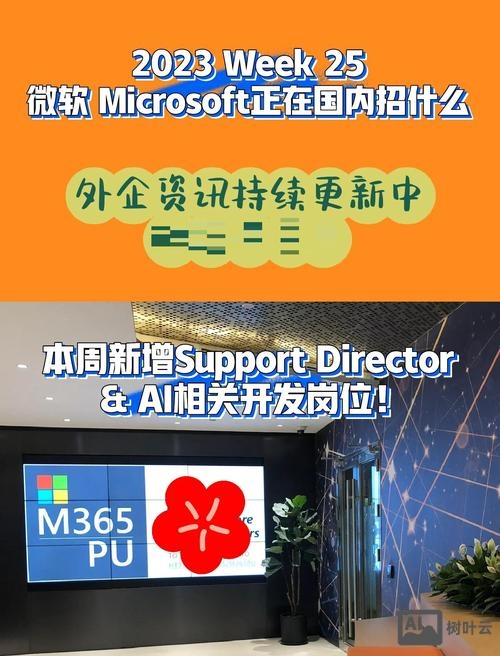 微软aa招聘