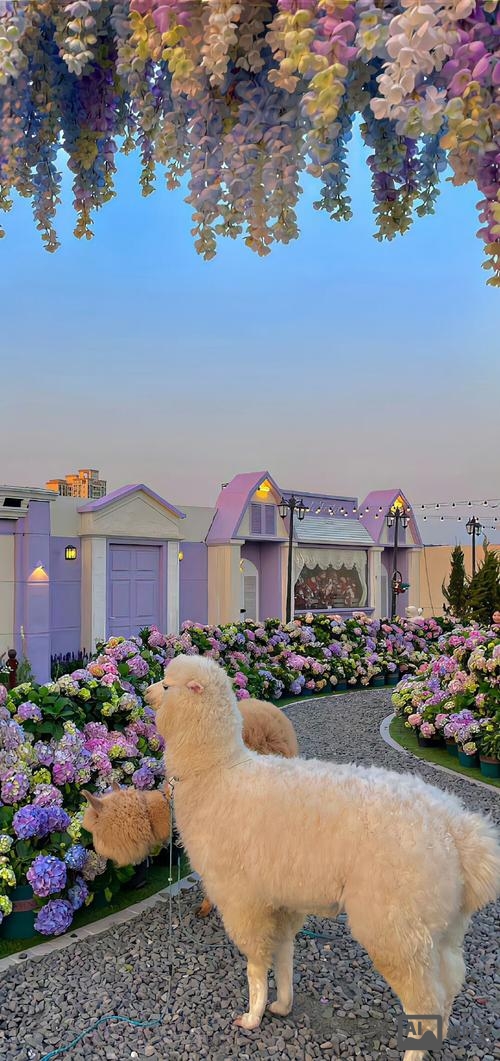 免费搭建手机社区