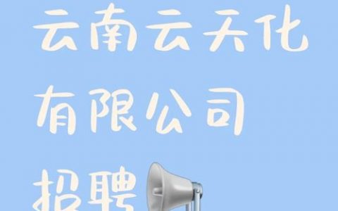 桌面云招聘，桌面云招聘，企业该如何选？