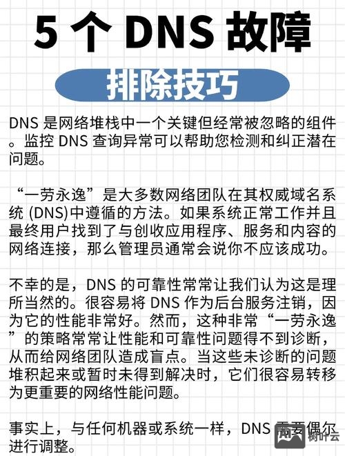 如何查询 域名的dns服务器