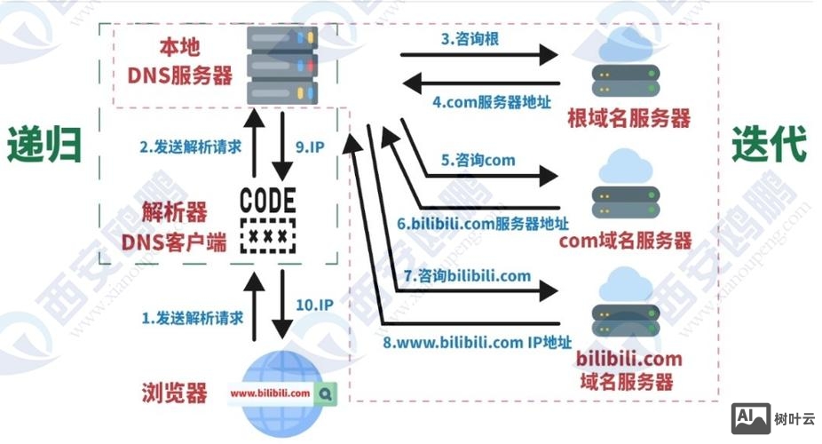 如何查询 域名的dns服务器