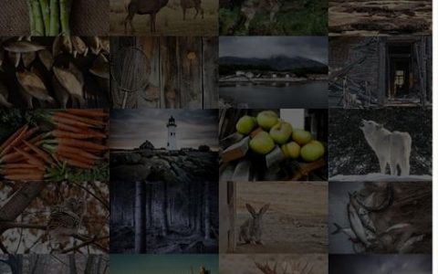 相册类网站搭建，相册类网站如何快速搭建？