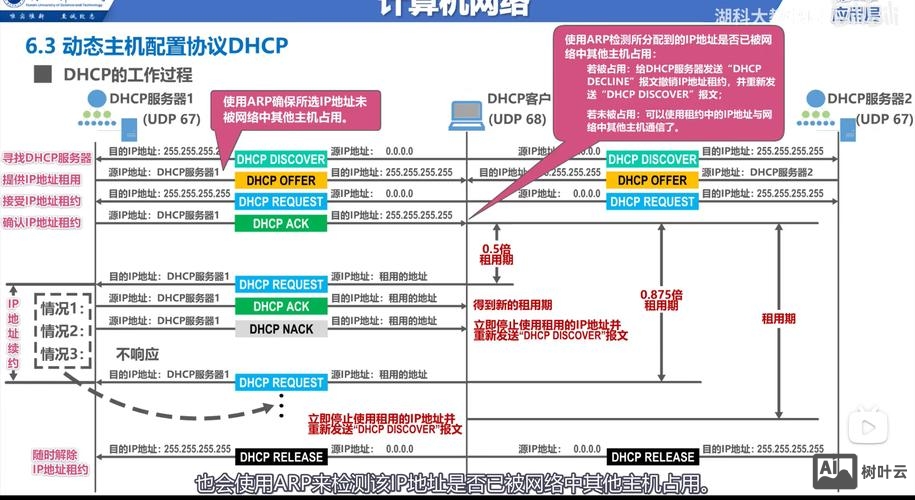网络搭建专业选择