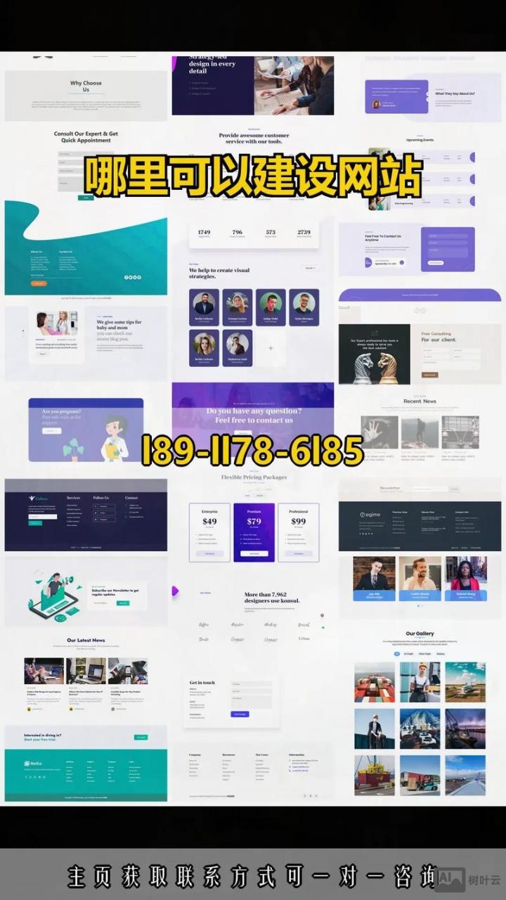 哪里有网站搭建
