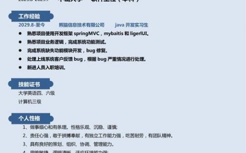 模拟招聘实例，模拟招聘实例如何有效提升求职实战能力？