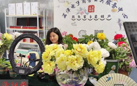 洛阳直播网站搭建，洛阳直播网站搭建，如何高效完成？