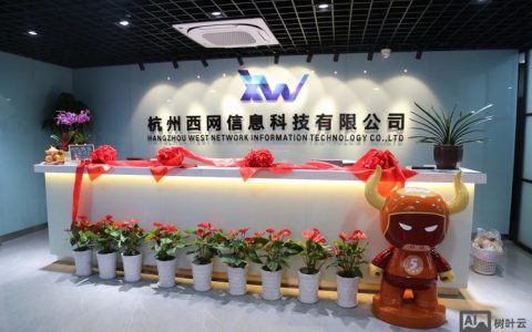 杭州公司网络搭建，杭州公司网络搭建如何高效规划？