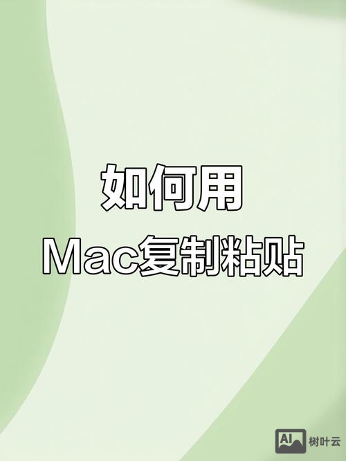 微页页面如何复制粘贴