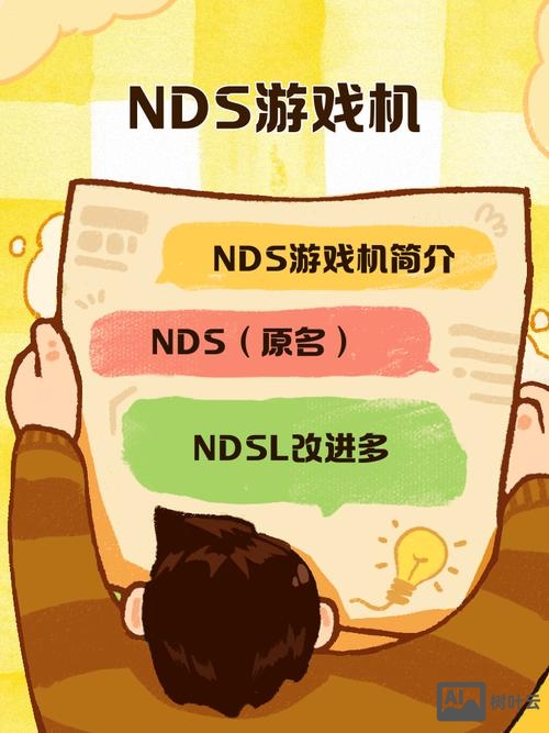 nds公司 招聘