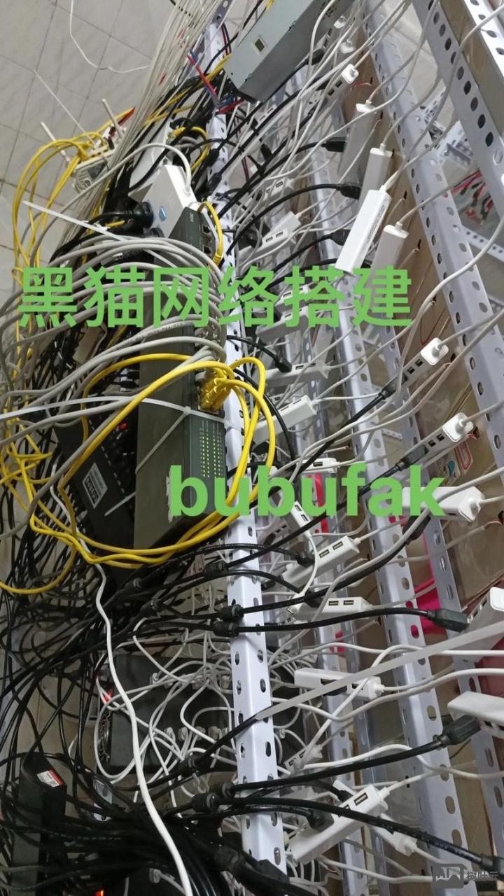 手机搭建的网络