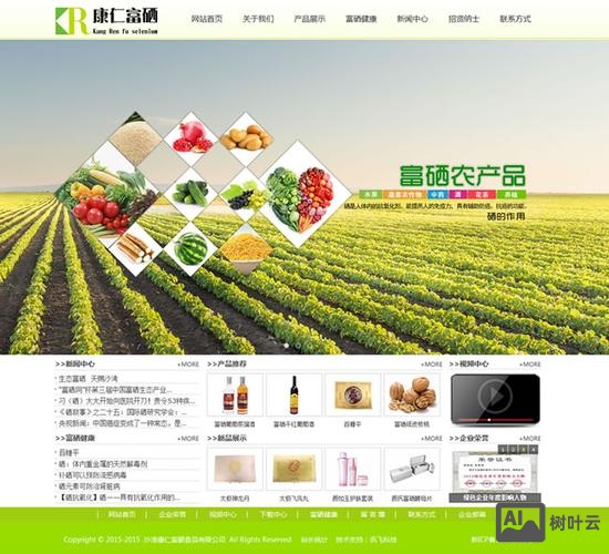 新疆网站搭建代理