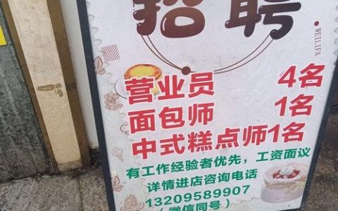 广州拙见 招聘，广州拙见招聘，岗位详情与要求是什么？