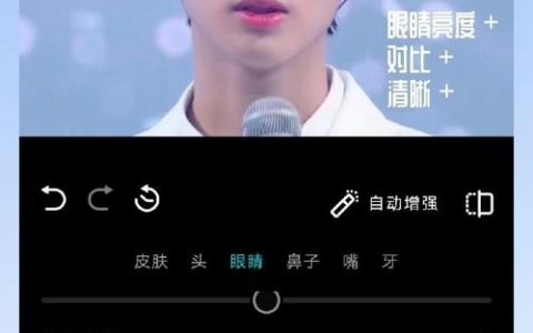 如何与自己爱豆合成图片，如何用AI与爱豆生成专属合照？
