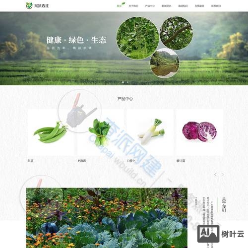 农业公司网站搭建