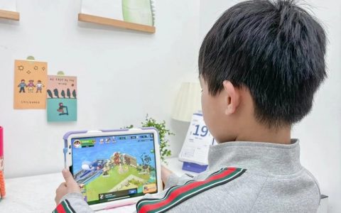 背单词网站搭建，如何高效搭建一个背单词网站？