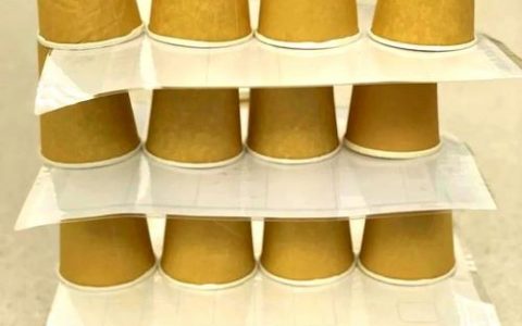 纸杯搭建区名字，纸杯搭建区起什么名字既童趣又有教育意义？