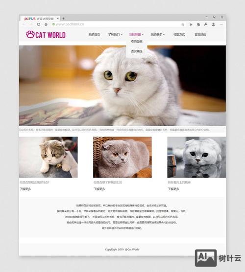 如何在dw网页中添加闪烁文字