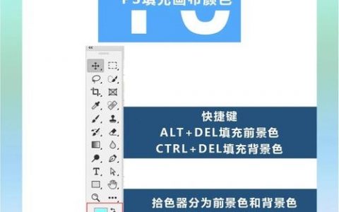 ps如何给图片加背景色，PS如何给图片加背景色？