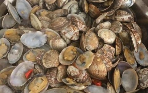 卖海鲜如何空手套白狼，卖海鲜如何空手套白狼？真有这操作？