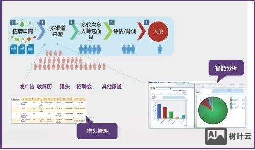 cloundin 云英招聘