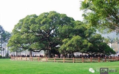 福州微信搭建，福州微信搭建怎么选？哪家靠谱又高效？