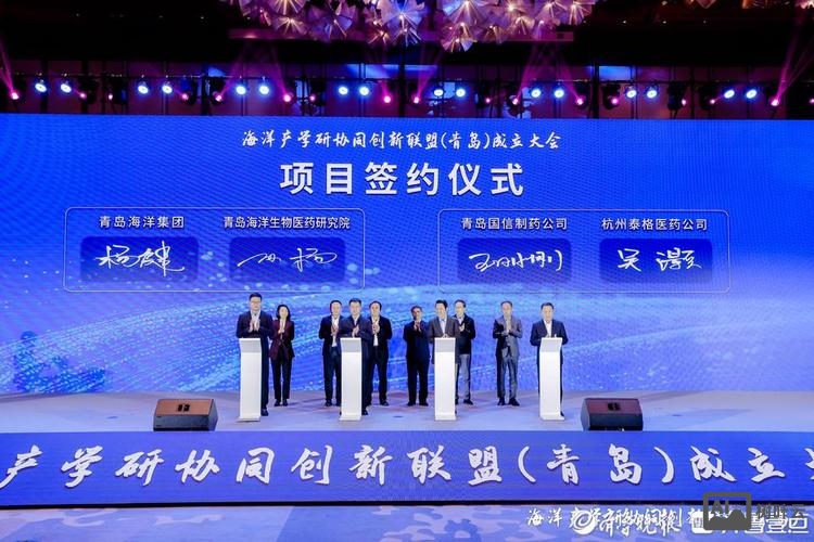 青岛网站平台搭建