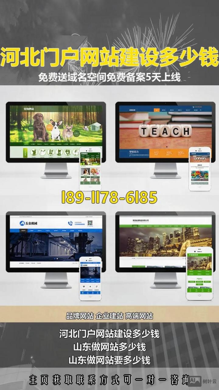 河北知名网站搭建