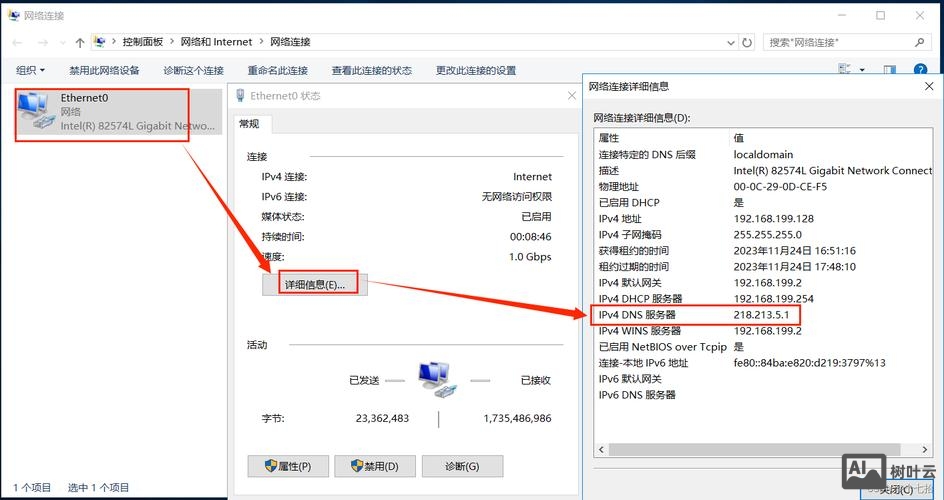 如何查看网络dns服务器地址