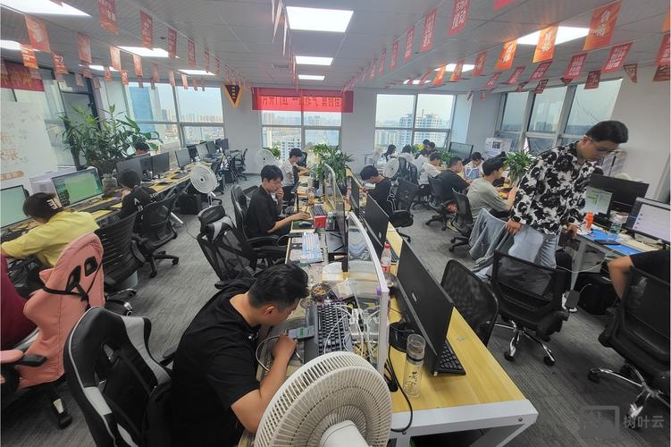 网络平台搭建企业