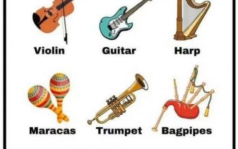 如何快速记住英语单词violin，如何快速记住英语单词violin？