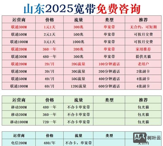 山东网站搭建套餐